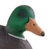 Duck Decoys, Realistic Floating Duck Decoys, Weight Forward Swim, Plastic Duck Hunting Decoy Outdoor for Hunting, for Pool, Pond, and Lake, Garden Yar